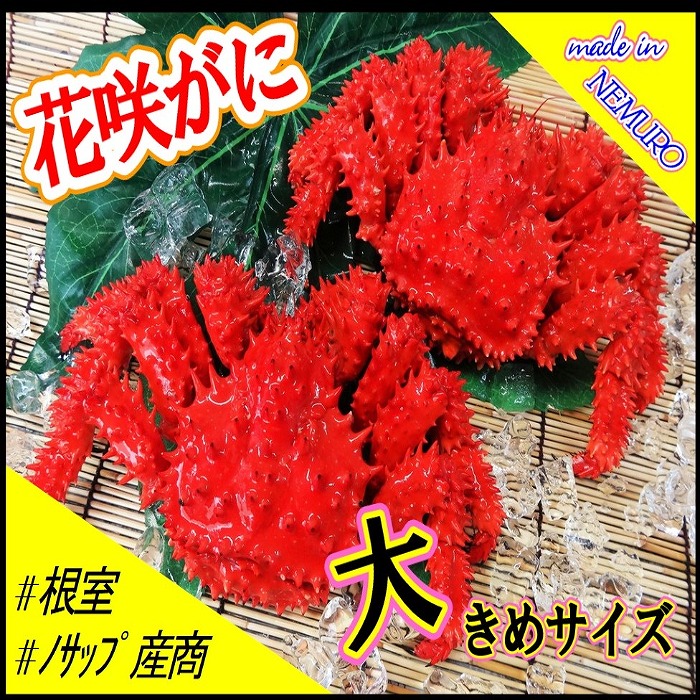 【ふるさと納税】 [北海道根室産] 花咲がに 2 尾 ( 計 1.3kg ) 花咲ガニ 花咲 花咲かに 花咲蟹 かに カニ 蟹 お取り寄せ グルメ 海鮮 ボイル 茹で蟹 茹でがに 茹でガニ 北海道 根室市 ふるさと納税 F-59005