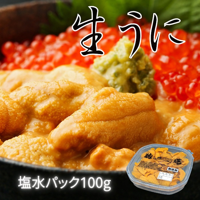 【ふるさと納税】エゾバフンウニ塩水パック100g 選べる 1P 2P うに ウニ 雲丹 エゾバフンウニ 海鮮 北海道 根室市