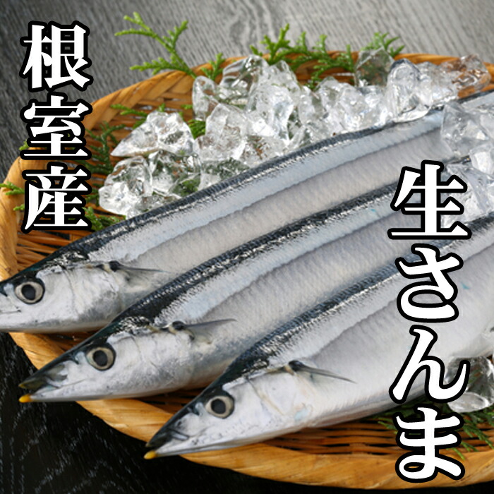 【ふるさと納税】[北海道根室産]さんま10尾～60尾 サンマ 秋刀魚 生さんま  魚 サカナ さかな 北海道 根室市