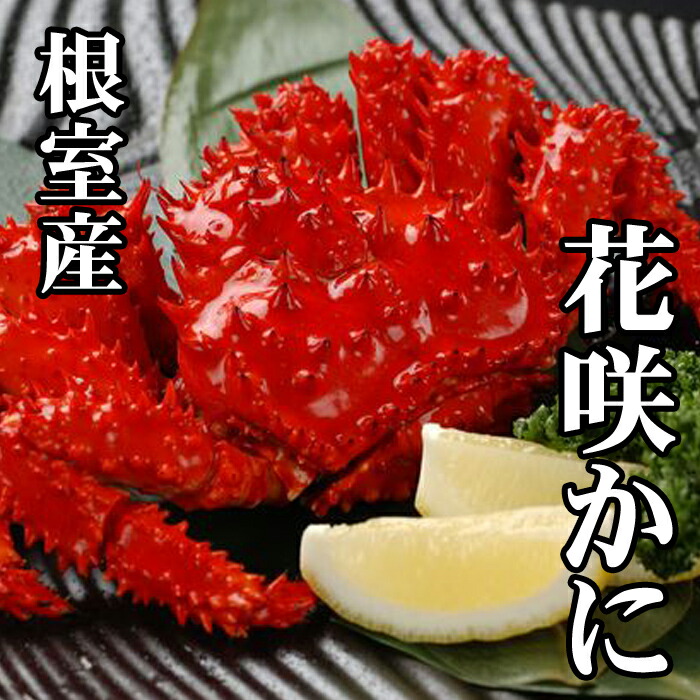 【ふるさと納税】[北海道根室産]花咲かに (300g前後～450g前後×3尾) (300g前後～450g×4尾) (300～450g×8尾) (400g前後～550g前後×3尾) (400～550g前後×4尾) (400g～500g前後×6尾) (400～600g×10尾) (500～650g×2尾) (500～650g前後×3尾) (500～650g×6尾) 根室市