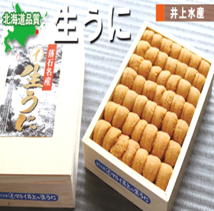 【ふるさと納税】 ムラサキウニ並べ詰め 選べる 150g ~ 600g うに ウニ 雲丹 ムラサキうに むらさきうに 紫うに 紫ウニ 紫雲丹 ウニ丼 うに丼 雲丹丼 刺身 お取り寄せ グルメ 海鮮 折詰 折り詰め 折詰め 北海道 根室市 ふるさと納税|北海道根室市