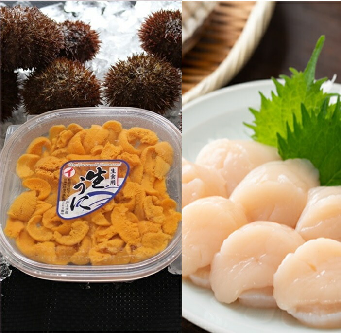 【ふるさと納税】 エゾバフンウニ100g×1折、いくら醤油漬け150g×1P[11月中旬以降発送]  D-71060