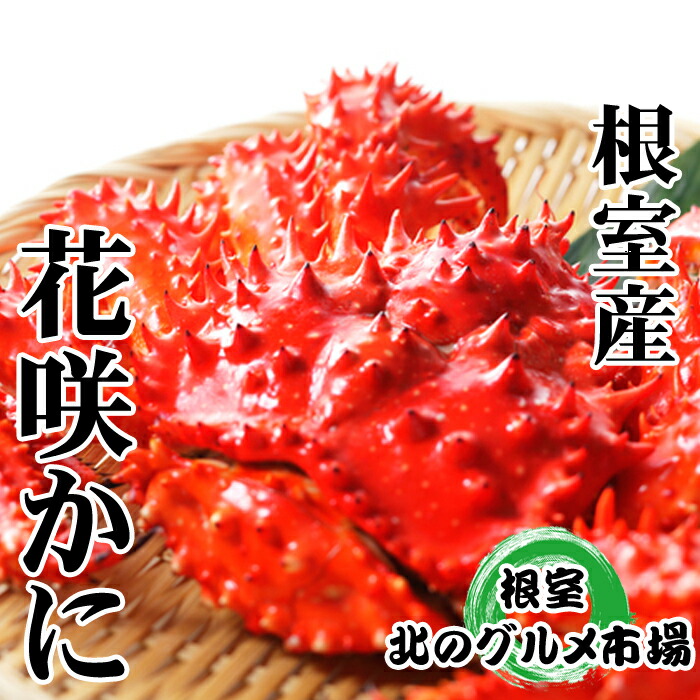 【ふるさと納税】 [北海道根室産] 花咲かに 400g ~ 600g × 10 尾 花咲がに 花咲 花咲ガニ 花咲蟹 かに カニ 蟹 お取り寄せ グルメ 海鮮 ボイル 茹で蟹 茹でがに 茹でガニ 北海道 根室市 ふるさと納税 D-76011