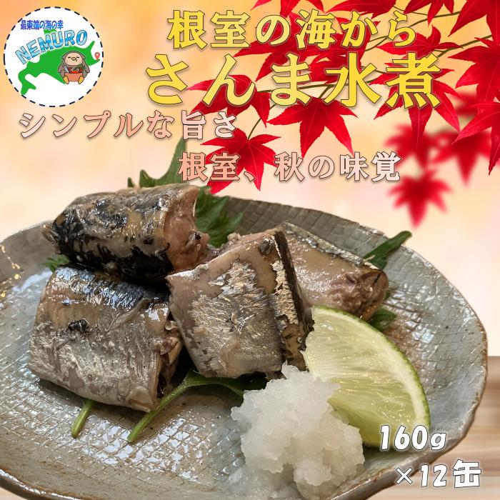 【ふるさと納税】[北海道根室産]さんま水煮160g&times;12缶 A-78039｜北海道根室市