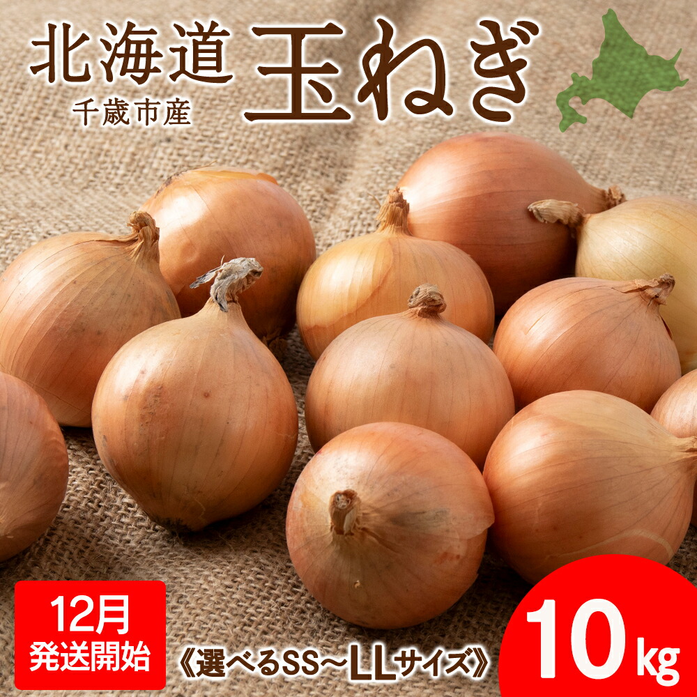 【ふるさと納税】 【2026年12月発送開始】玉ねぎ 10kg 選べるSS～LLサイズ 北海道 千歳市産 甘い たまねぎ 野菜 冷蔵 タマネギ 【假屋フードブリッジ】玉ねぎ たまねぎ タマネギ 玉葱 野菜 北海道ふるさと納税 千歳市 【北海道千歳市】ギフト ふるさと納税｜北海道千歳市