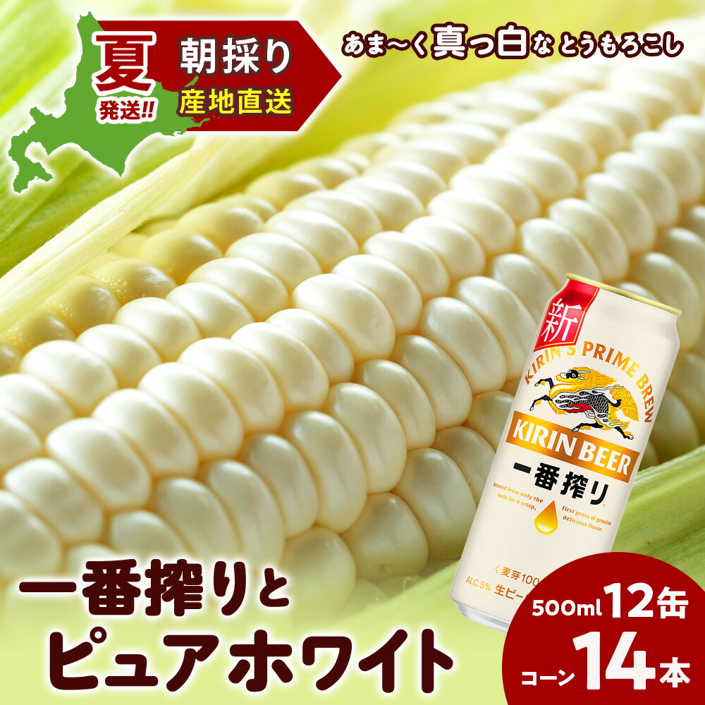 【ふるさと納税】2025年夏発送 キリン一番搾り 500ｍl 12缶＆白いとうもろこしピュアホワイト14本 北海道千歳産 野菜 とうもろこし とうきび キリンビール 麒麟ビール ビール 【北海道千歳市】<br>ギフト ふるさと納税 麒麟 KIRIN