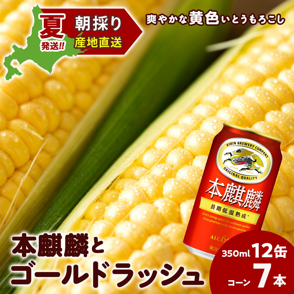 【ふるさと納税】2025年夏発送 キリン本麒麟350ｍl 12缶＆黄色いとうもろこしゴールドラッシュ7本 北海道千歳産 野菜 とうもろこし とうきび キリンビール 麒麟ビール ビール 【北海道千歳市】<br>ギフト ふるさと納税 KIRIN