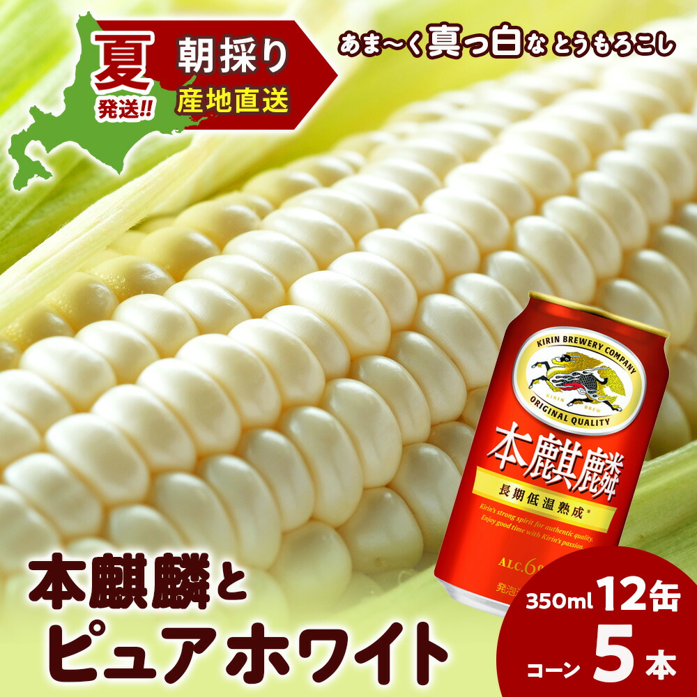 【ふるさと納税】2025年夏発送 キリン本麒麟350ｍl 12缶＆白いとうもろこしピュアホワイト5本 北海道千歳産 野菜 とうもろこし とうきび キリンビール 麒麟ビール ビール 【北海道千歳市】<br>ビール ギフト ふるさと納税 KIRIN