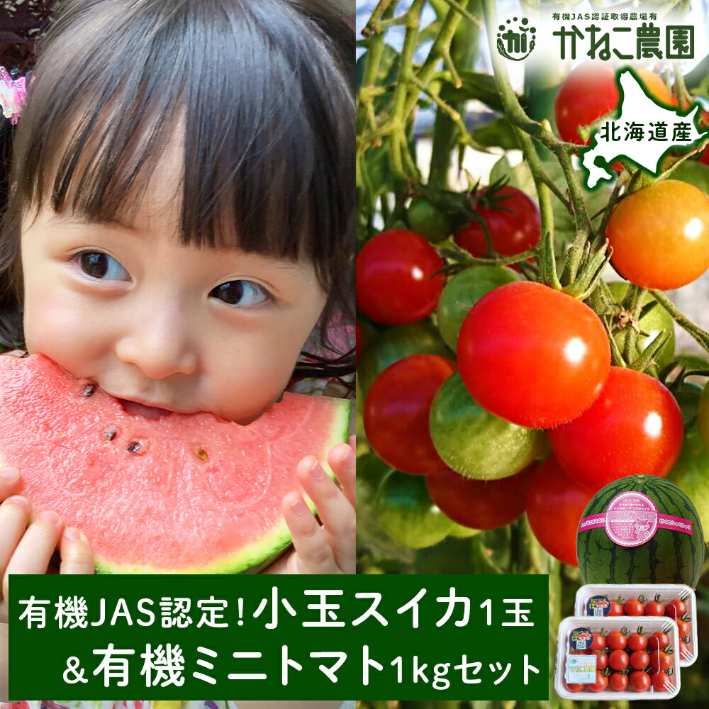【ふるさと納税】【2025年8月中旬より発送】有機JAS認定！小玉スイカ１玉＆有機ミニトマト500ｇ×2【かねこ農園】<br>北海道ふるさと納税 野菜 ミニトマト 有機栽培 有機スイカ 有機JAS JAS認定圃場 北海道 【北海道千歳市】