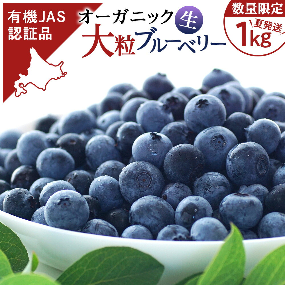 【ふるさと納税】ブルーベリー 数量限定 大粒 有機 無農薬 冷蔵 オーガニック 250g 4パック 1kg 千歳市産 【ベリーファーム】<br>ブルーベリー 北海道 フルーツ ベリー 果物 北海道ふるさと納税 千歳市 ふるさと納税【北海道千歳市】