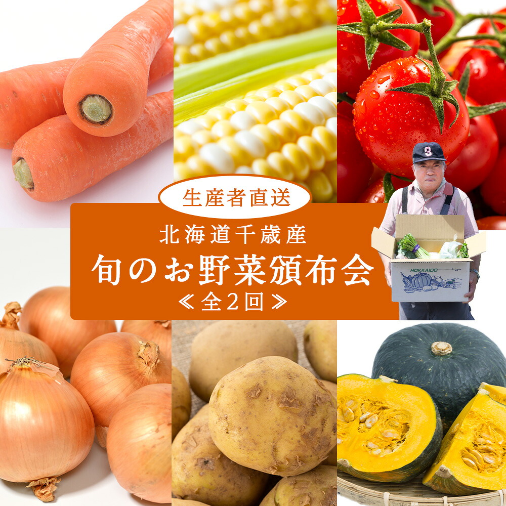 【ふるさと納税】【2026年発送予約】定期便2回 旬の野菜を「年2回」お届け《土居ファーム》 とうもろこし キャベツ トマト 人参 じゃがいも カボチャ 玉ねぎ にんにく 人参 豆 鷹の爪 ヤーコン 旬 千歳 北海道 北海道ふるさと納税 【北海道千歳市】 ギフト ふるさと納税