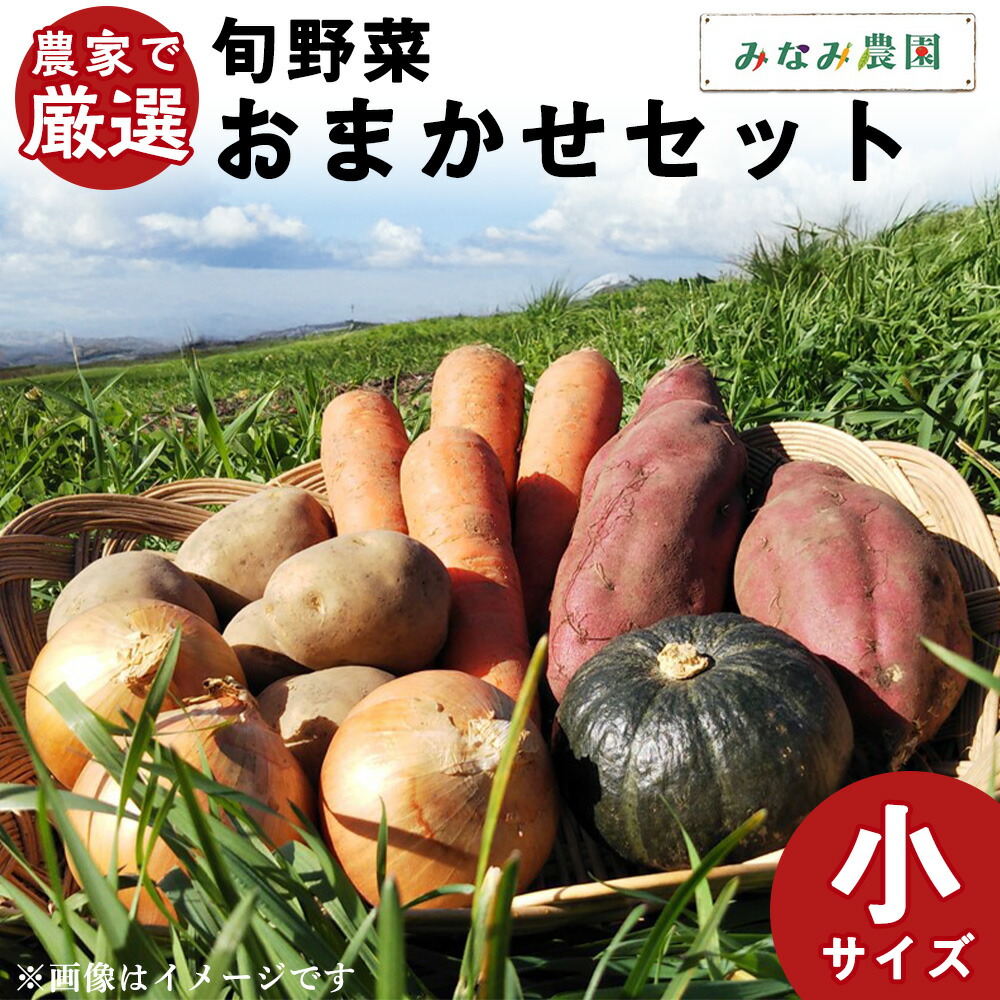 【ふるさと納税】【2025年秋発送】 農家で厳選！旬野菜おまかせセット（小）<br>秋野菜 野菜 詰め合わせ セット じゃがいも かぼちゃ にんじん 玉ねぎ さつまいも 人参 玉葱 たまねぎ 北海道ふるさと納税 千歳市 ふるさと納税【北海道千歳市】<br>ギフト ふるさと納税