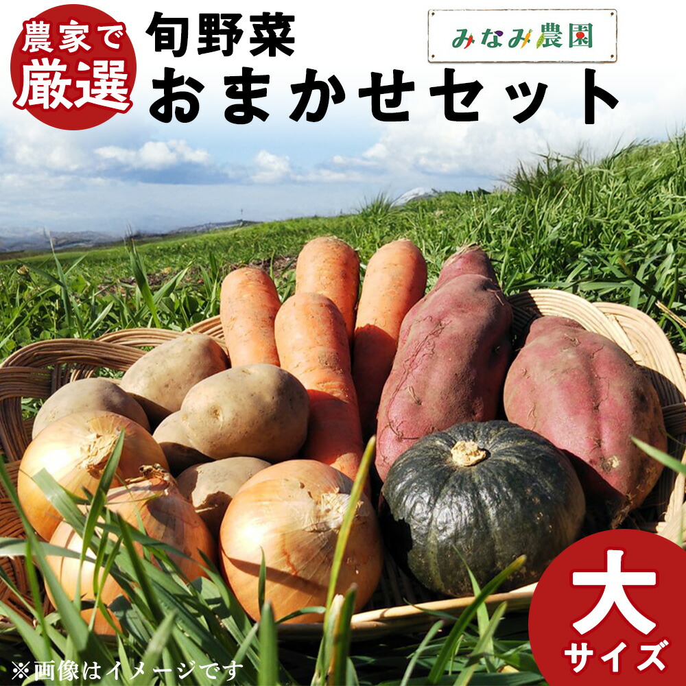 【ふるさと納税】【2025年秋発送】 農家で厳選！旬野菜おまかせセット（大）<br>秋野菜 野菜 詰め合わせ セット じゃがいも かぼちゃ にんじん 玉ねぎ さつまいも 人参 玉葱 たまねぎ 北海道ふるさと納税 千歳市 ふるさと納税【北海道千歳市】<br>ギフト ふるさと納税