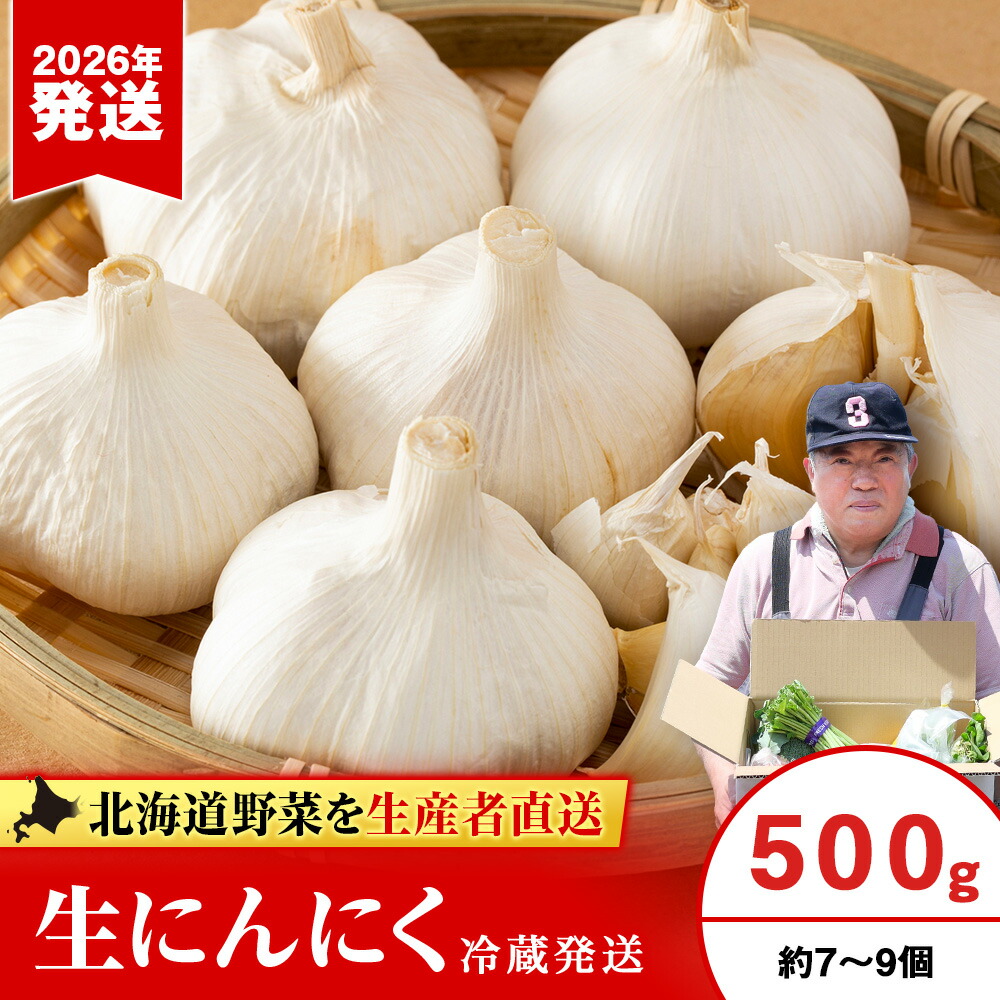 【ふるさと納税】2026年発送 生にんにく約500g【土居ファーム】 北海道 千歳 大蒜 にんにく ニンニク 北海道産 生ニンニク 野菜 北海道ふるさと納税 千歳市 ふるさと納税【北海道千歳市】 ギフト ふるさと納税