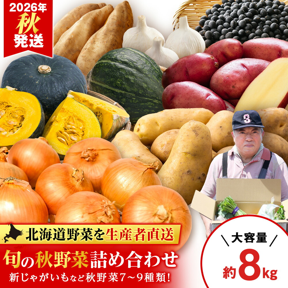 【ふるさと納税】2026年発送 旬の秋野菜詰め合わせ 約8kg《土居ファーム》 野菜 かぼちゃ じゃがいも たまねぎ 南瓜 玉ねぎ セット【北海道千歳市】ギフト ふるさと納税｜北海道千歳市