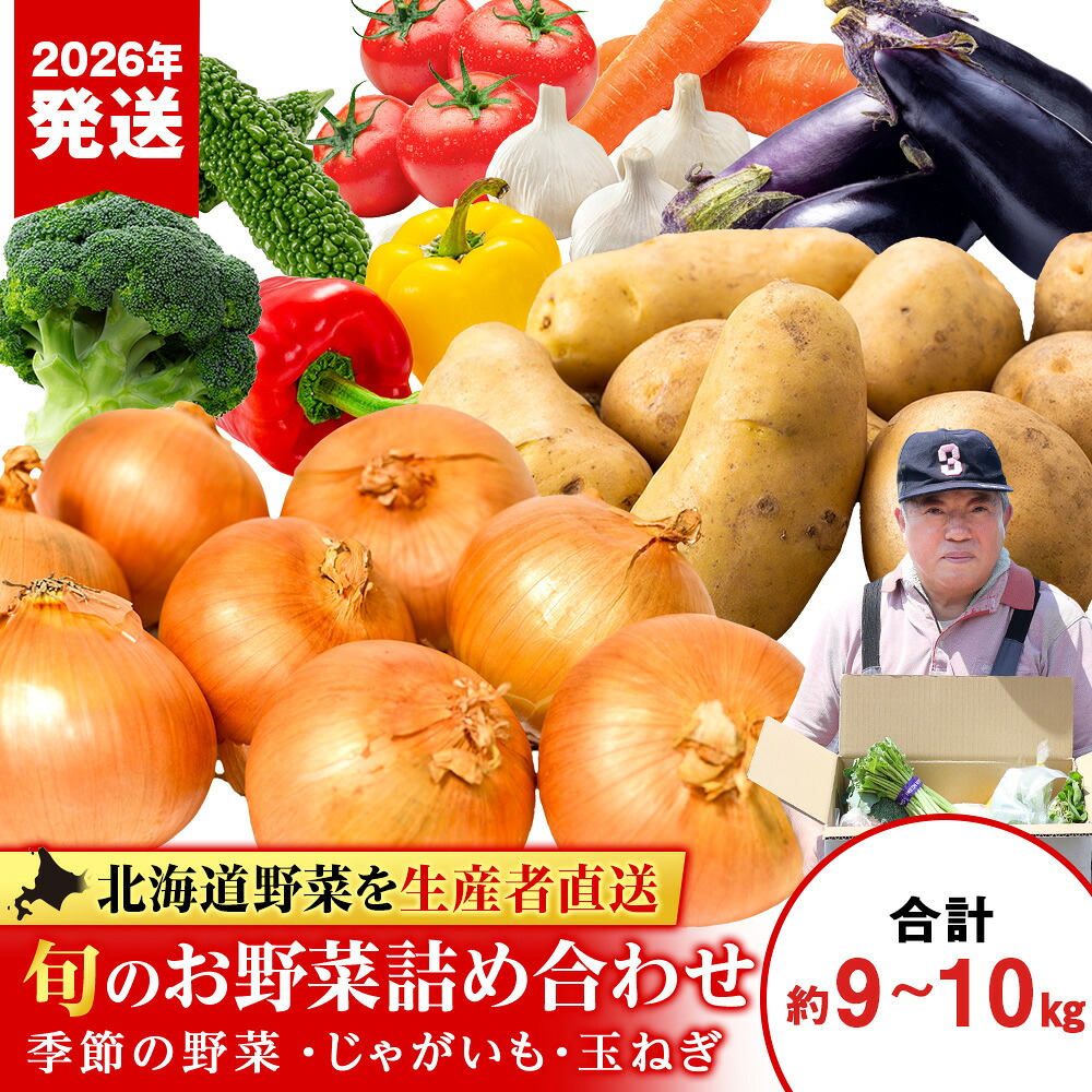 【ふるさと納税】2026年発送 夏の旬の夏野菜詰め合わせ 約9kg～10kg《土居ファーム》 野菜 やさい お楽しみ セット ランダム じゃがいも 玉ねぎ 北海道ふるさと納税 千歳市 ふるさと納税【北海道千歳市】 ギフト ふるさと納税