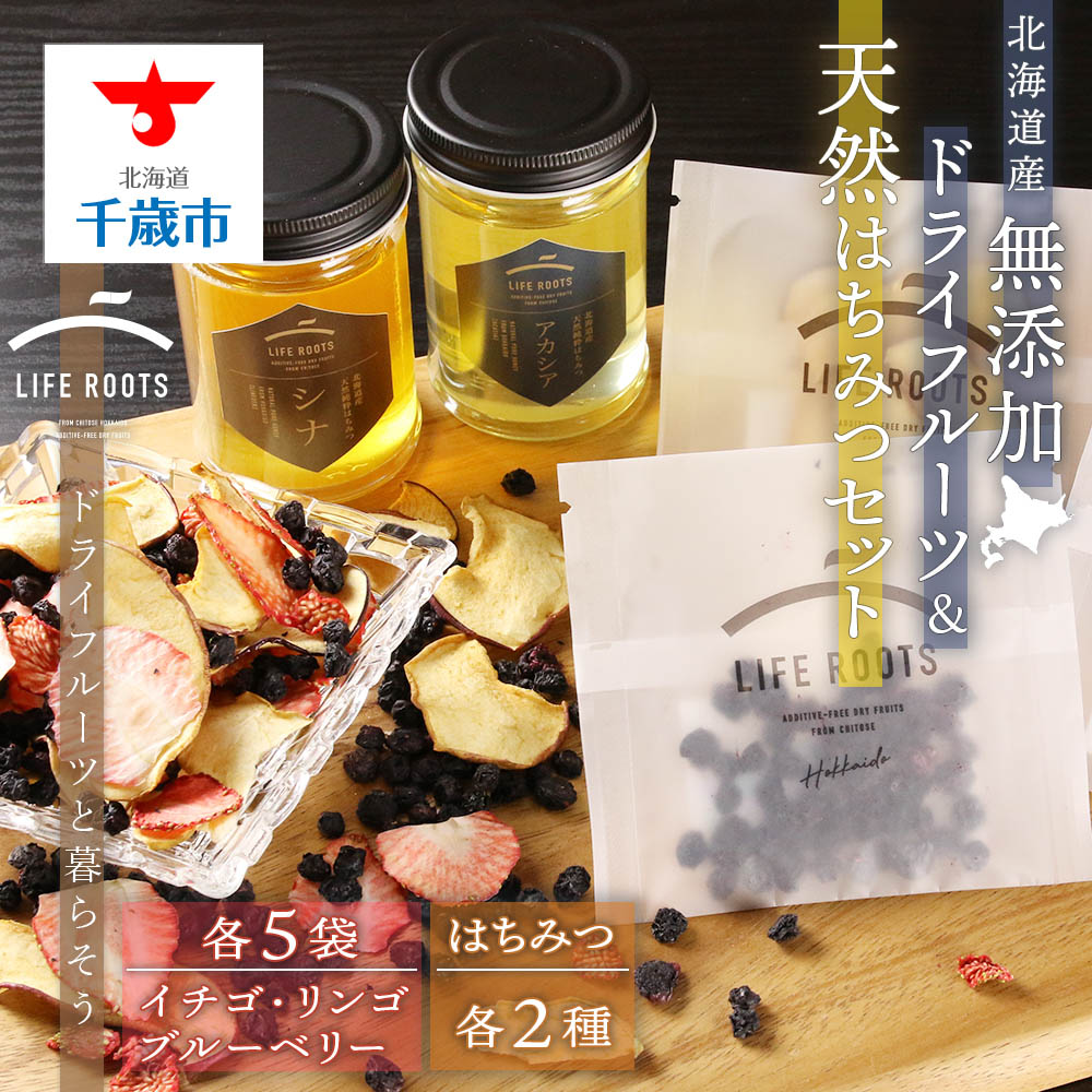 【ふるさと納税】《北海道産》無添加ドライフルーツ＆北海道産天然はちみつセット 無添加 ドライフルーツ イチゴ ブルーベリー リンゴ アカシア シナ 砂糖不使用 はちみつ【北海道千歳市】 ギフト ふるさと納税