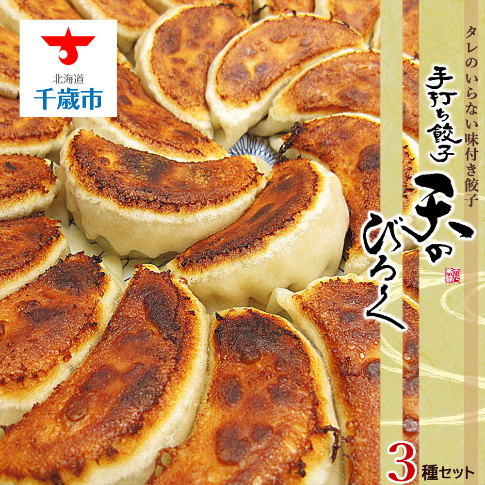 【ふるさと納税】 こだわりの手打ち餃子★天のびろく 3種セット＜手打ち餃子のびろく＞ 加工品 惣菜 冷凍 ぎょうざ ギョーザ 【北海道千歳市】<br>ギフト ふるさと納税
