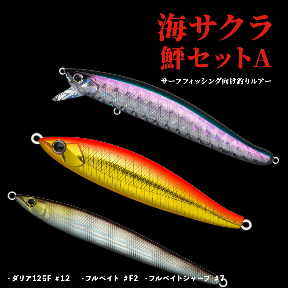 サーフ ルアーセット ふるさと納税 フィッシング ルアー・フライ 愛知県 豊川市 BASSDAY