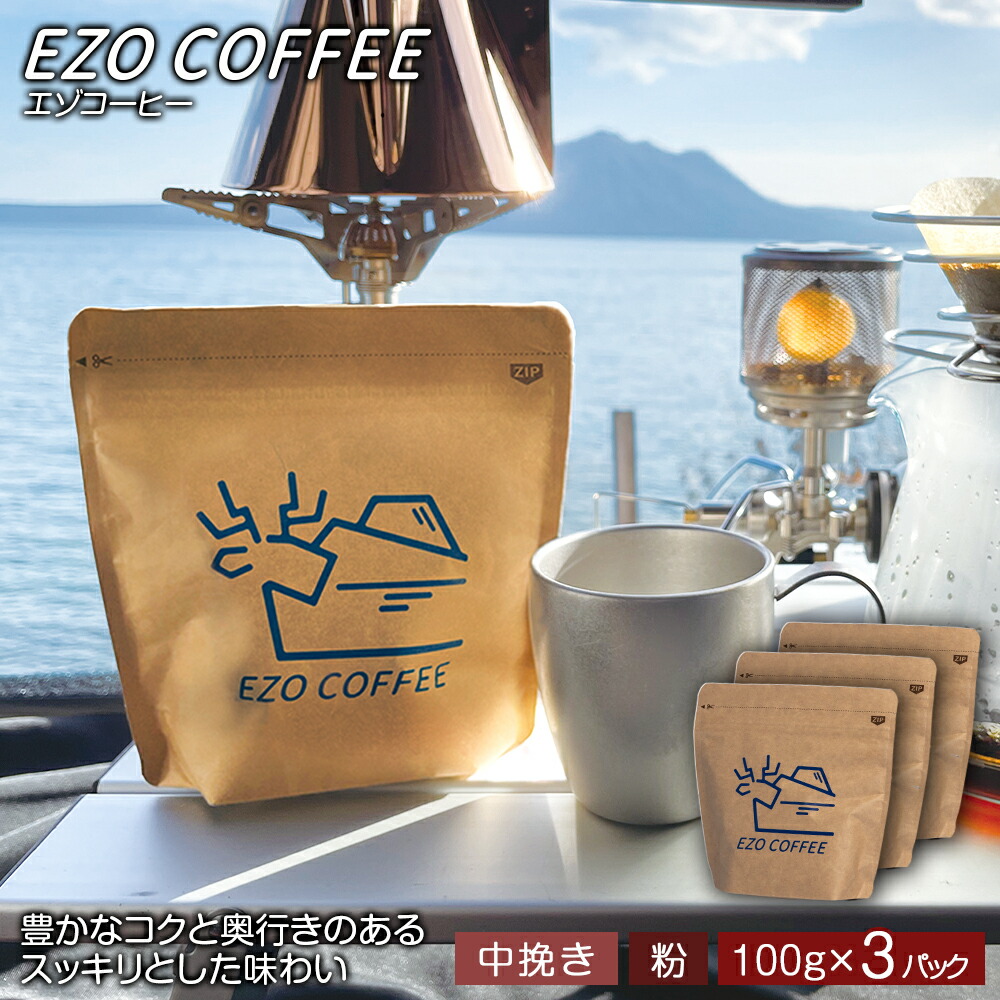 【ふるさと納税】EZO COFFEE エゾコーヒー(100g)&times;3パックレギュラーコーヒー シティロースト 珈琲 コーヒー インスタントコーヒー 北海道 千歳 北海道ふるさと納税 千歳市 ふるさと納税【北海道千歳市】ギフト ふるさと納税｜北海道千歳市