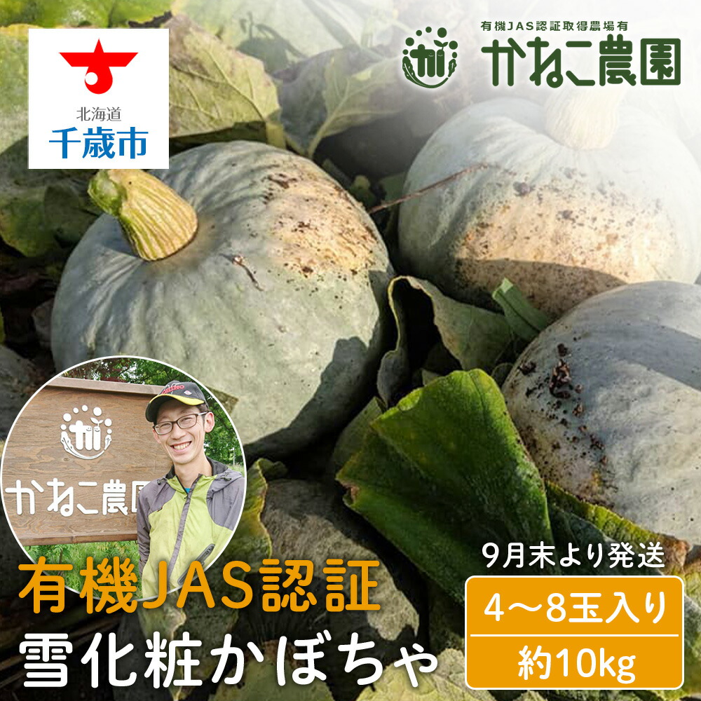 【ふるさと納税】有機雪化粧かぼちゃ ４～８玉入り（約10kg）【かねこ農園】【2026年9月末より発送】 北海道ふるさと納税 野菜 南瓜 有機栽培 有機野菜 JAS認定圃場 北海道 【北海道千歳市】