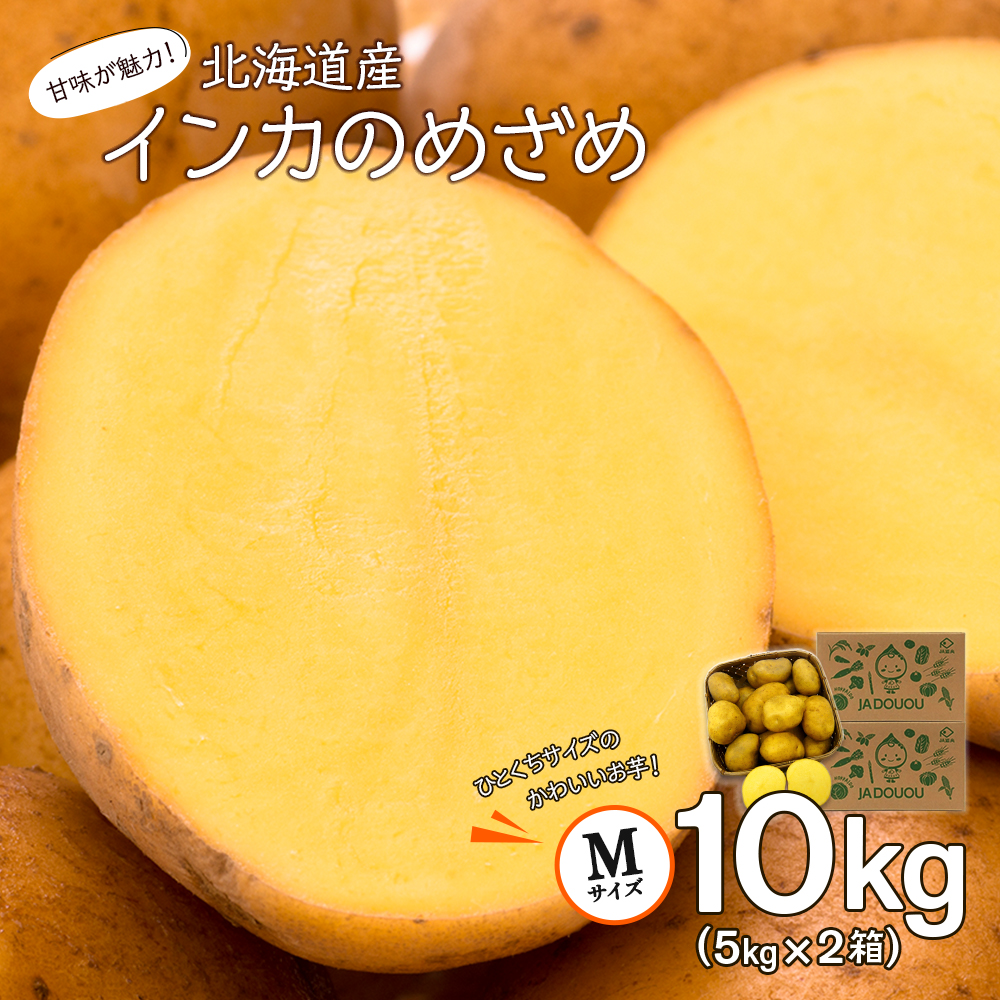 馬鈴しょインカのめざめ 5kg×２箱 野菜 じゃがいも インカのめざめ 一口サイズ ジャガイモ 北海道ふるさと納税 千歳市 ふるさと納税ギフト  ふるさと納税 【98%OFF!】