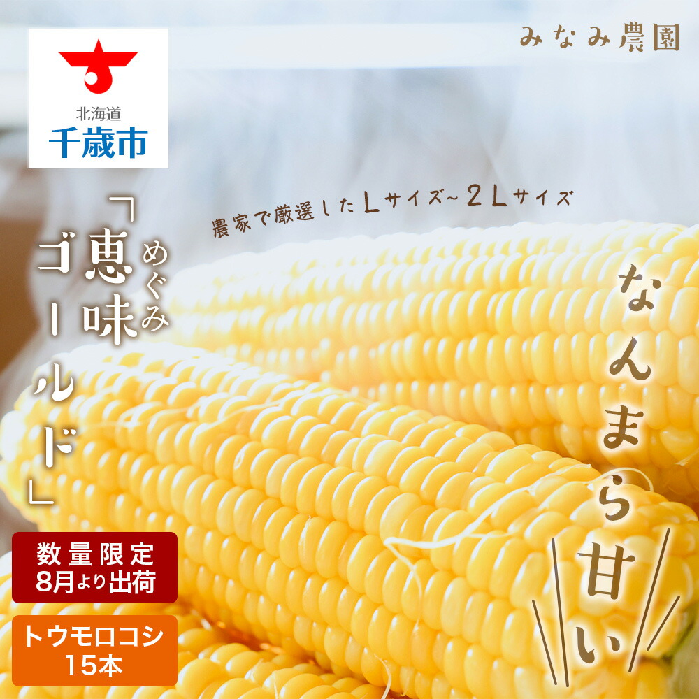 【ふるさと納税】なんまら甘くて食べやすい！2025年8月より出荷！「恵味ゴールド」15本セット<br>恵味 ゴールド とうもろこし トウキビ 野菜 北海道 千歳 北海道ふるさと納税 千歳市 ふるさと納税【北海道千歳市】<br>ギフト ふるさと納税
