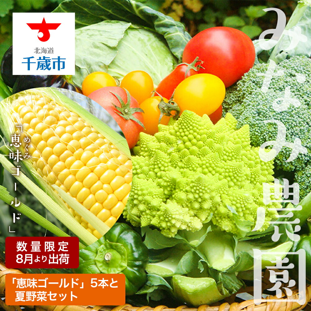 【ふるさと納税】色々楽しめる！2025年8月より順次出荷！「恵味ゴールド」5本と夏野菜セット<br>恵味 ゴールド とうもろこし トウキビ 野菜 北海道 千歳 夏野菜 セット 北海道ふるさと納税 千歳市 ふるさと納税【北海道千歳市】<br>ギフト ふるさと納税