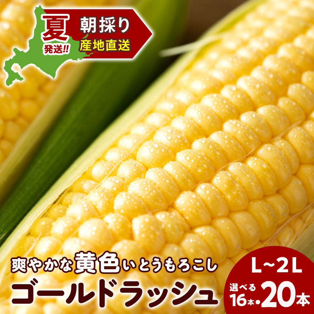 <br>【ふるさと納税】2025年夏発送 とうもろこし ゴールドラッシュ L～2L 選べる16本～20本 北海道千歳産 野菜 とうもろこし【北海道千歳市】<br>ギフト ふるさと納税
