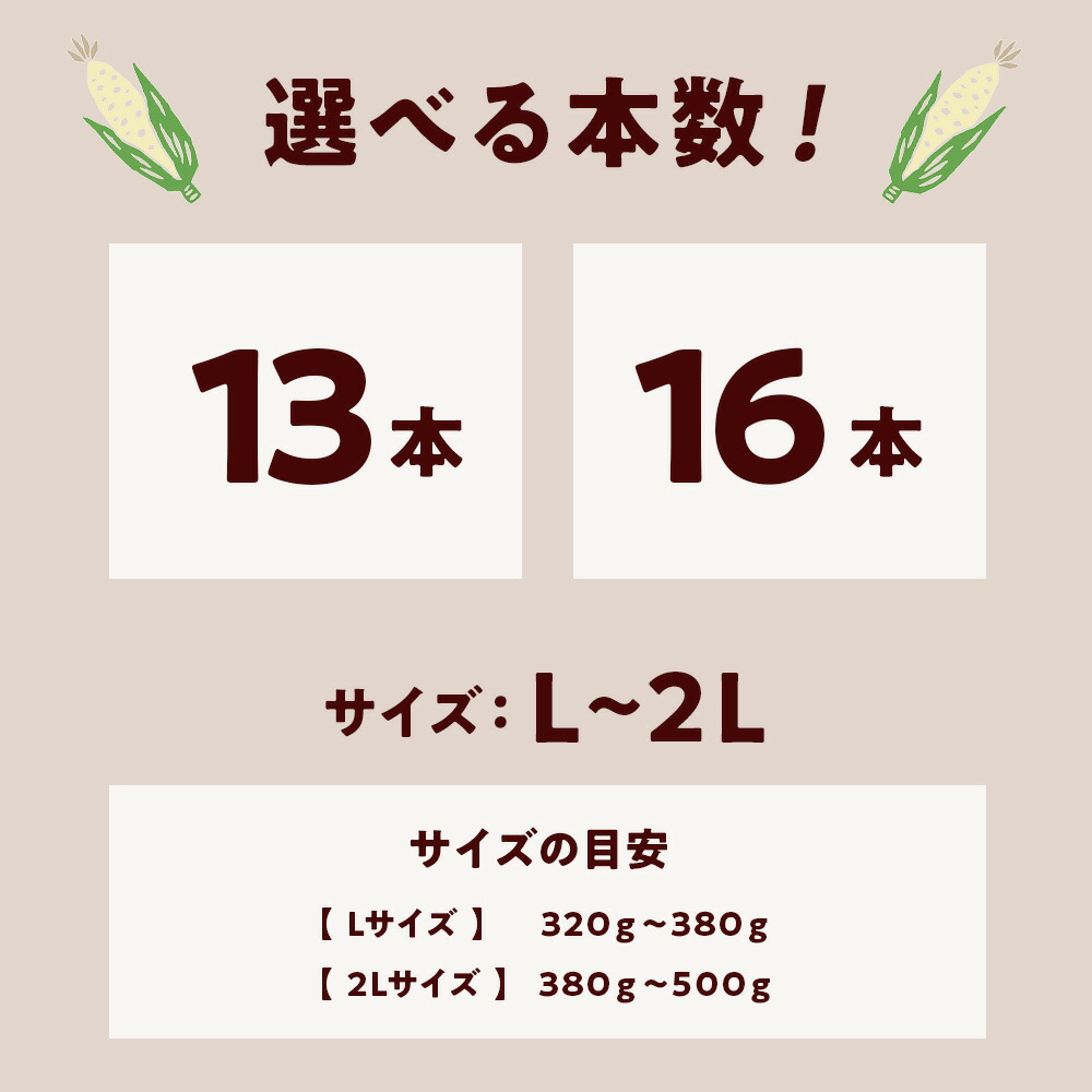 ふるさと納税】2025年夏発送 白いとうもろこし ピュアホワイト L ふるさと納税】2025年夏発送 白いとうもろこし ピュアホワイト L