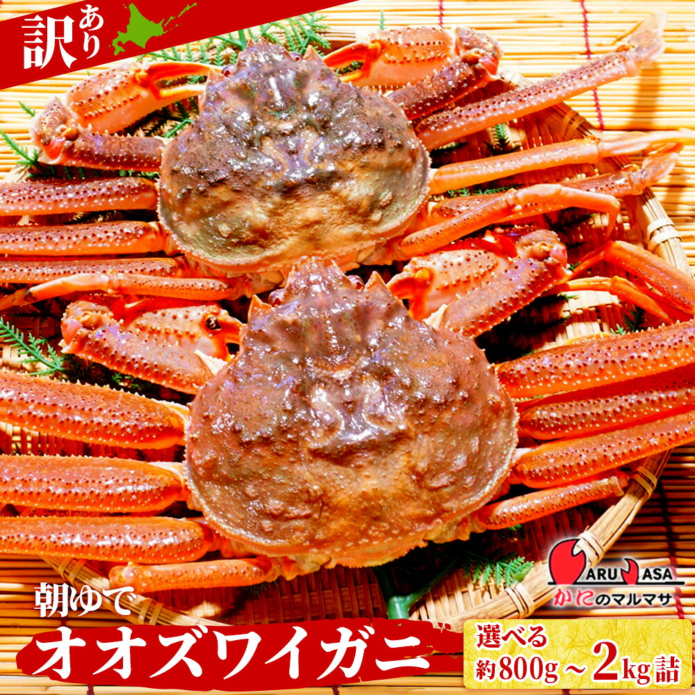 【ふるさと納税】送料無料 北海道産【 朝ゆで 】訳ありオオズワイガニ 選べる800g詰～2kg詰 道産品 オオズワイ蟹 オオズワイカニ おおずわい蟹 規格外品 不揃い 訳アリ 訳有り 北海道 ふるさと納税 北海道 千歳市 【北海道千歳市】