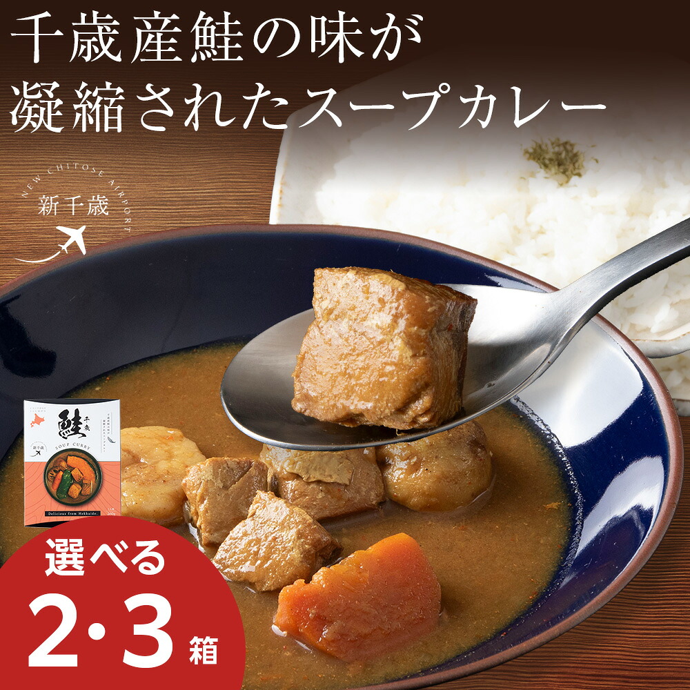 【ふるさと納税】千歳産鮭凝縮のスープカレー（1箱260g） 選べる2～3箱 スープカレー ご当地 グルメ ソウルフード レトルト レンジ調理 惣菜 カレー 北海道ふるさと納税 千歳市 【北海道千歳市】 ギフト ふるさと納税