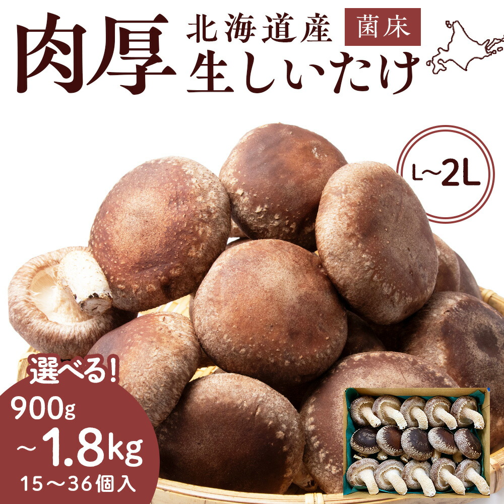 【ふるさと納税】菌床 生しいたけ 選べる900g～1.8kg 大きい 肉厚 シイタケ 椎茸 生椎茸 生シイタケ 千歳 北海道 《 あしだファーム 》<br>椎茸 しいたけ きのこ キノコ 茸 野菜 北海道ふるさと納税 ふるさと納税 北海道 千歳市 【北海道千歳市】<br>ギフト ふるさと納税