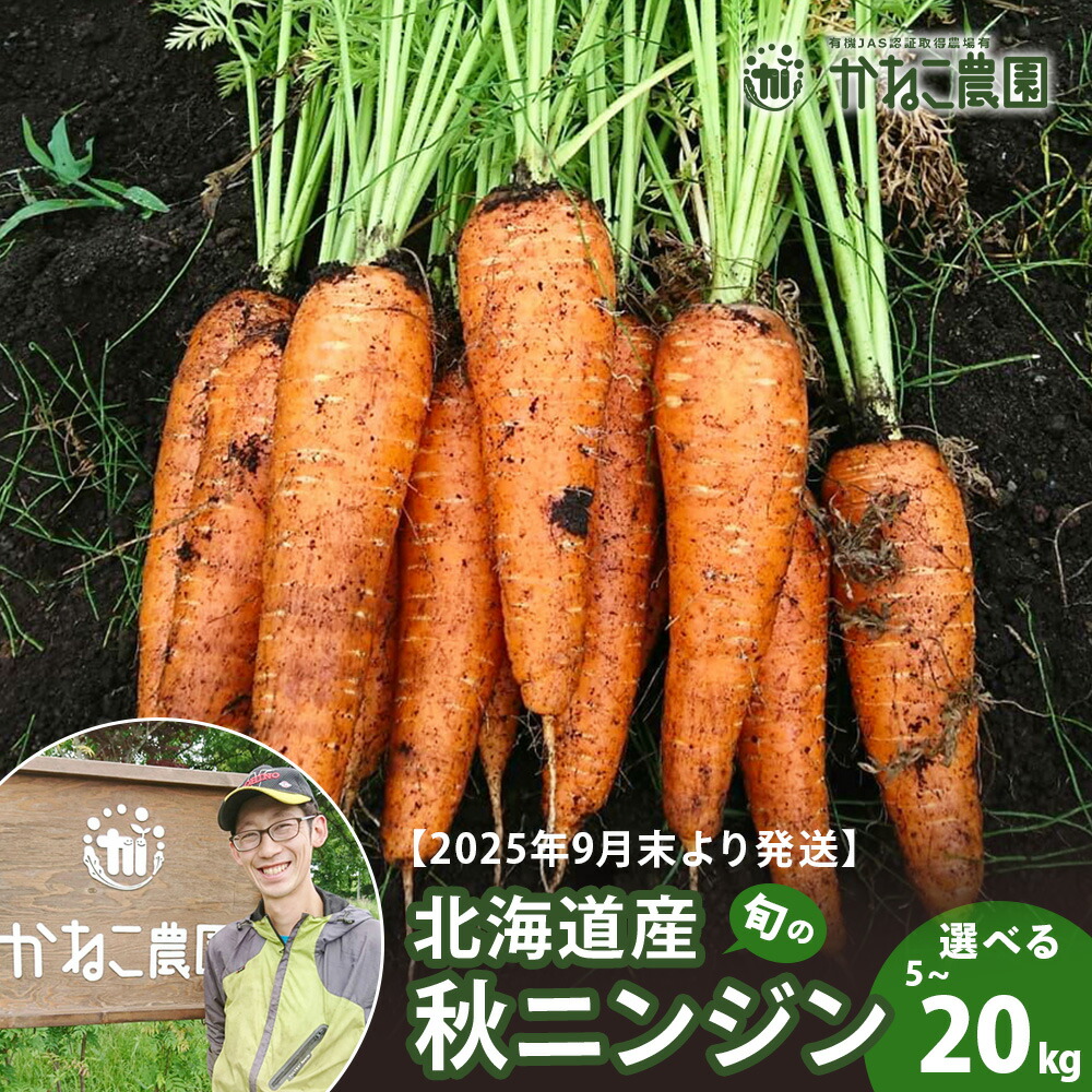 【ふるさと納税】【2025年9月末より発送】北海道産 旬の秋ニンジン 選べる5kg～20kg 【かねこ農園】<br>北海道ふるさと納税 人参 野菜 にんじん 秋人参 北海道 【北海道千歳市】