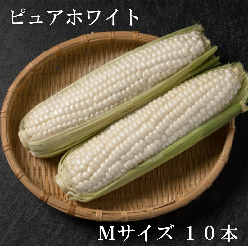 ふるさと納税 令和3年予約 とうもろこし ピュアホワイト Mサイズ10本 寒暖差のある大地で作られた大変甘く真っ白な光沢のあるとうもろこし 北海道滝川市ふるさと納税 内容量ピュアホワイト 賞味期限冷蔵7日 Wevonline Org