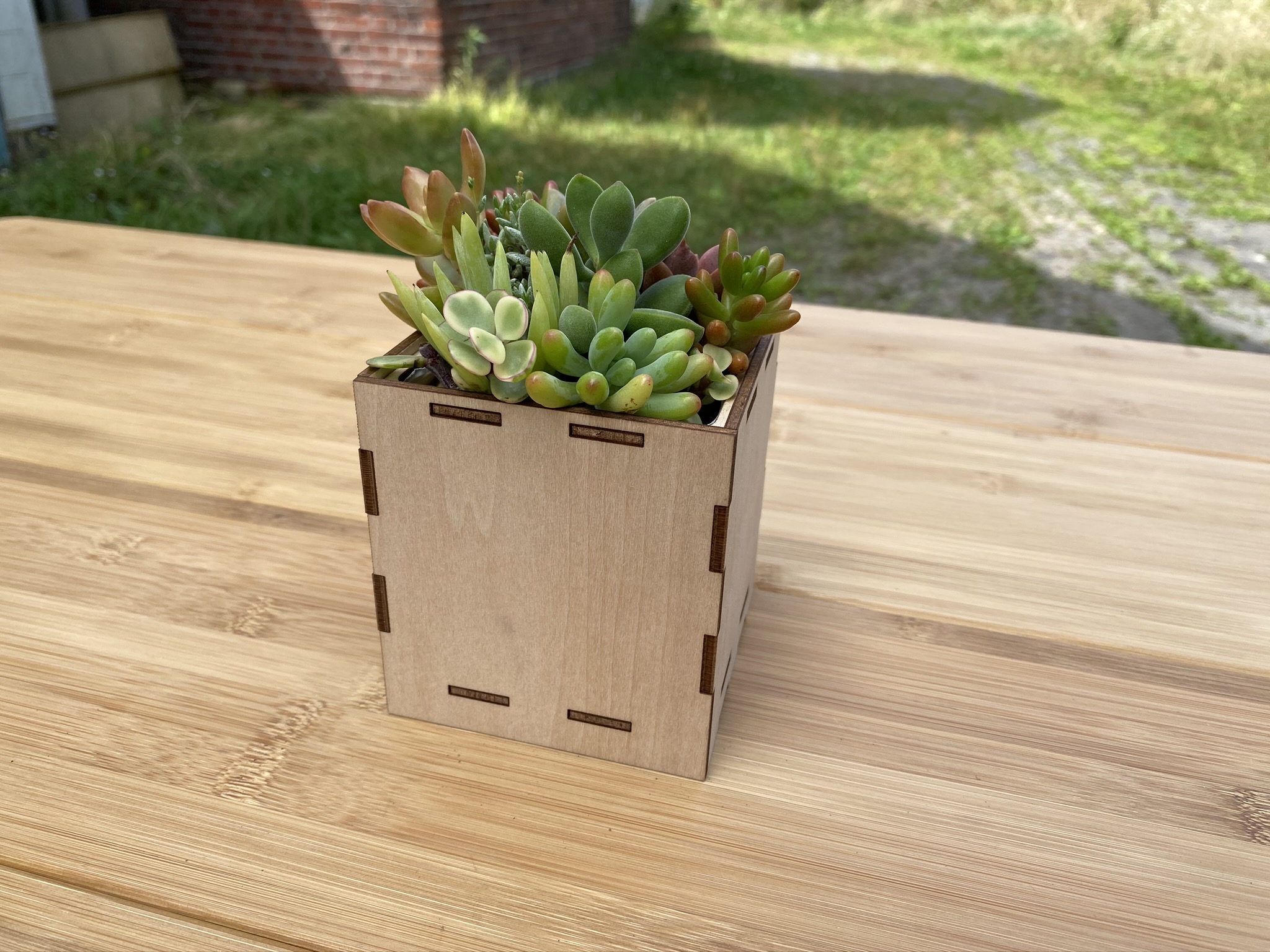 アウトレット ふるさと納税 安心やすらぎ共和国 Oasis Republic Sunagawa Base 片桐農園 空知単板工業 株 多肉植物寄せ植え体験ギフトセット インテリア 室内 北海道砂川市 ランキング1位獲得 Marcoleone Com Ar