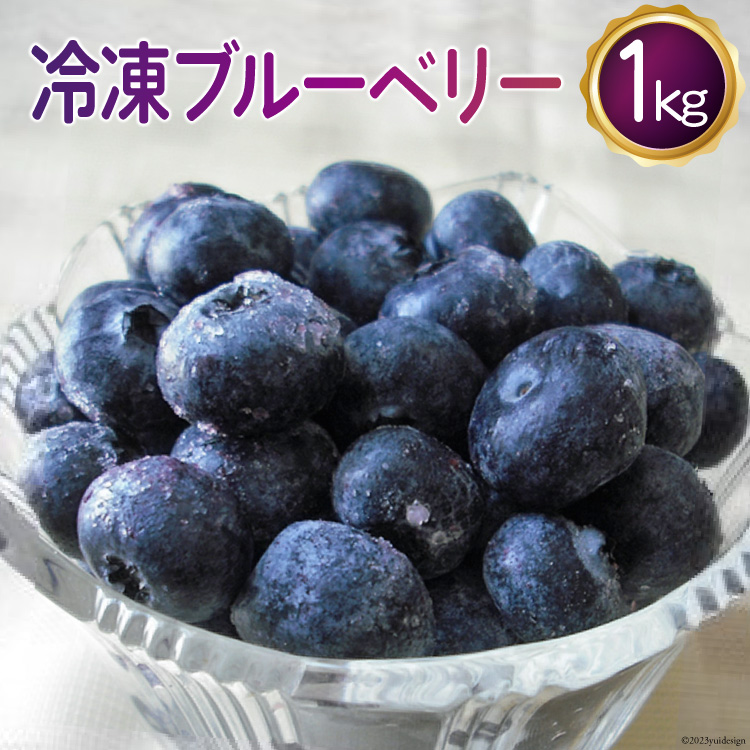 【ふるさと納税】冷凍 ブルーベリー 1kg [ノーザン・ベリーズ 北海道 砂川市 12260395] 果物 フルーツ 国産 自家栽培 レビューキャンペーン