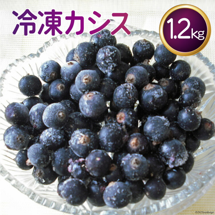 【ふるさと納税】冷凍 カシス 1.2kg [ノーザン・ベリーズ 北海道 砂川市 12260393] 果物 フルーツ 国産 自家栽培 レビューキャンペーン