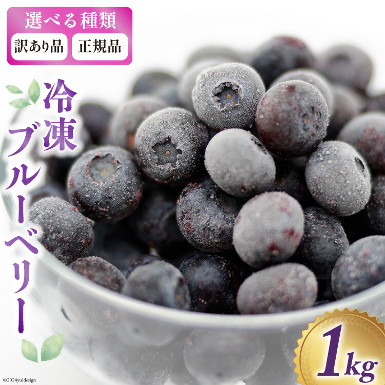 【ふるさと納税】 正規 or 訳あり 冷凍 ブルーベリー 1kg [三谷果樹園 北海道 砂川市 12260358] 果物 フルーツ 国産 産地直送 レビューキャンペーン
