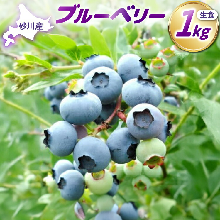 【ふるさと納税】高評価★4.83【期間限定発送】生食 ブルーベリー 1kg [ノーザン・ベリーズ 北海道 砂川市 12260529] 果物 フルーツ 国産 期間限定 数量限定 自家栽培 レビューキャンペーン