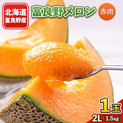 【ふるさと納税】富良野メロン　2Lサイズ(1.5kg)赤肉 1玉入り【1261325】