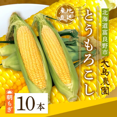 【ふるさと納税】朝もぎとうもろこし　10本　北海道富良野市『大島農園』【配送不可地域：離島】【1261687】