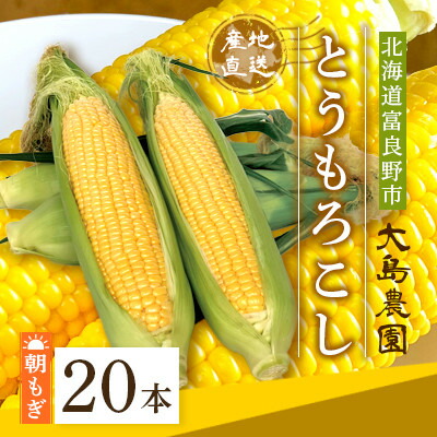【ふるさと納税】朝もぎとうもろこし　20本　北海道富良野市『大島農園』【配送不可地域：離島】【1261688】