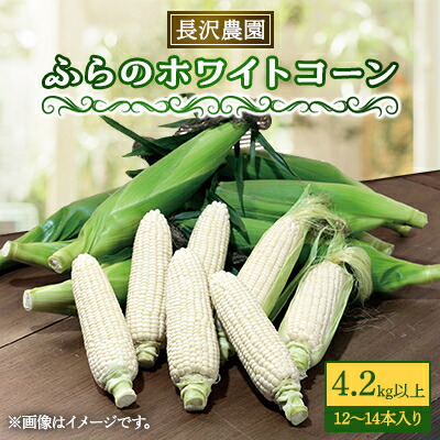 【ふるさと納税】富良野 ホワイトコーン4.2kg以上(12～14本)スイートコーン　とうもころし【配送不可地域：離島】【1265609】