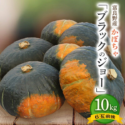 【ふるさと納税】北海道 富良野市産 かぼちゃ「ブラックのジョー」 10kg【2026年10月上旬より発送】【1301345】｜北海道富良野市