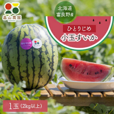 【ふるさと納税】ひとりじめ小玉すいか　1玉【配送不可地域：離島・沖縄県】【1318921】
