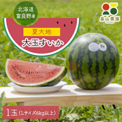 【ふるさと納税】富良野産大玉すいか「夏大地」Lサイズ6kg以上　1玉【1372198】