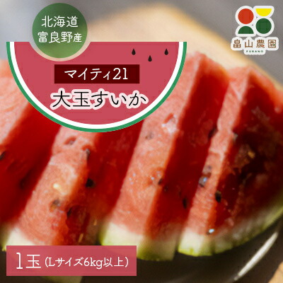 【ふるさと納税】富良野産大玉すいか「マイティ21」Lサイズ6kg以上　1玉【1372215】