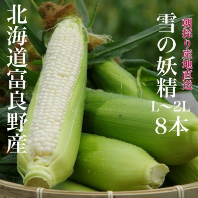 【ふるさと納税】朝採り白いとうもろこし「雪の妖精」北海道富良野産 L～2L 8本入_ とうもろこし コーン トウモロコシ 野菜 ホワイトコーン 朝採れ 人気 産地直送 甘い 送料無料 希少 限定 人気 おすすめ 北海道 【配送不可地域：離島】【1405986】