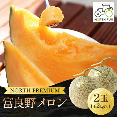 【ふるさと納税】富良野メロン『NORTH PREMIUM』 2玉 (1玉2kg以上)_ メロン めろん 富良野メロン 富良野めろん 北海道 富良野市 果物 フルーツ くだもの ふるーつ 青果 果実 甘い 旬 専門店 希少 品種 ギフト 贈答 糖度 定番 プレゼント 産直 産地直送 【1417984】